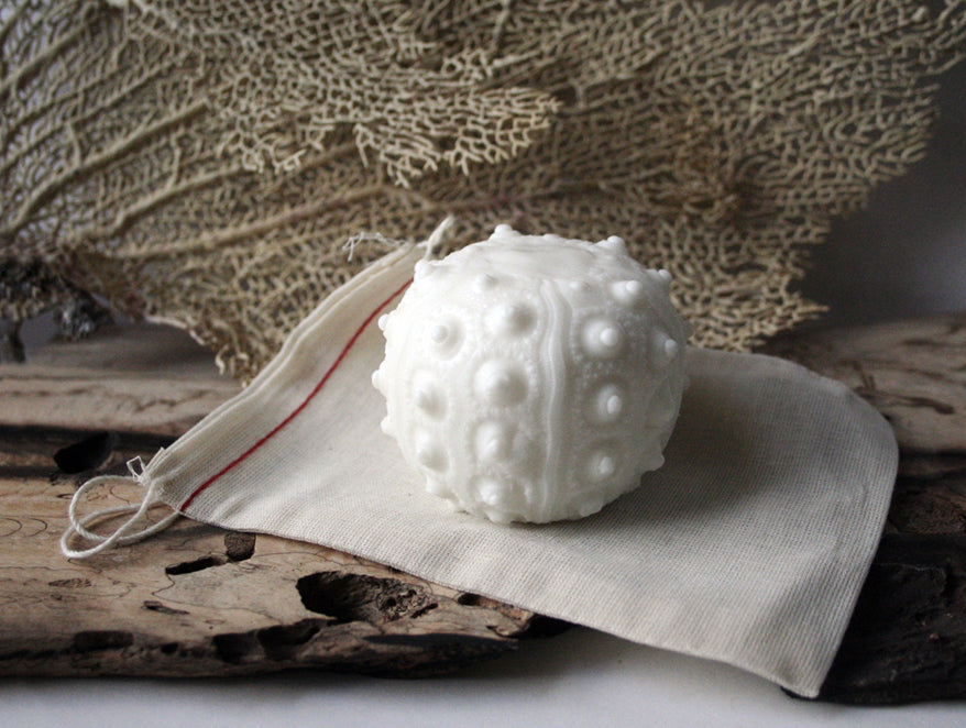 Sea Urchin Soap