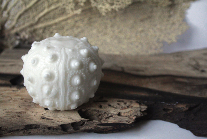 Sea Urchin Soap