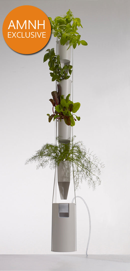 Verticle Hydroponic Garden