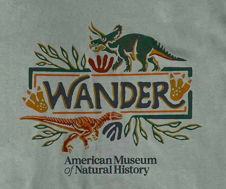 Adult Organic Cotton Dinosaur Wander T-Shirt closeup