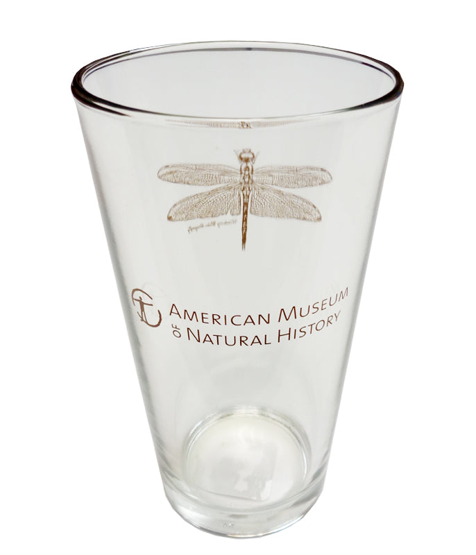 Wandering Glider Dragonfly Pint Glass