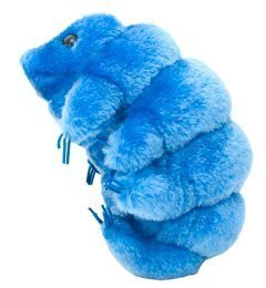 Plush Waterbear