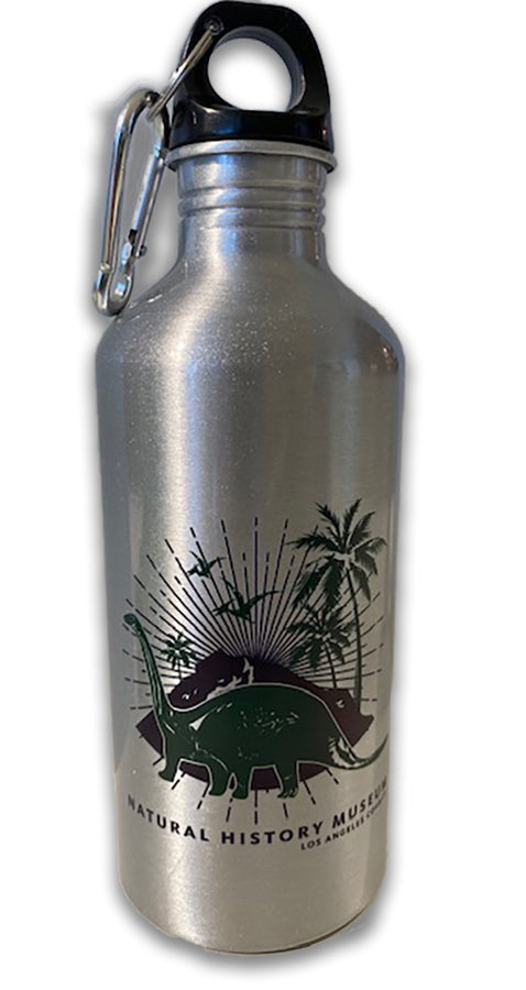 Dinosaur Caribiner Top Water Bottle
