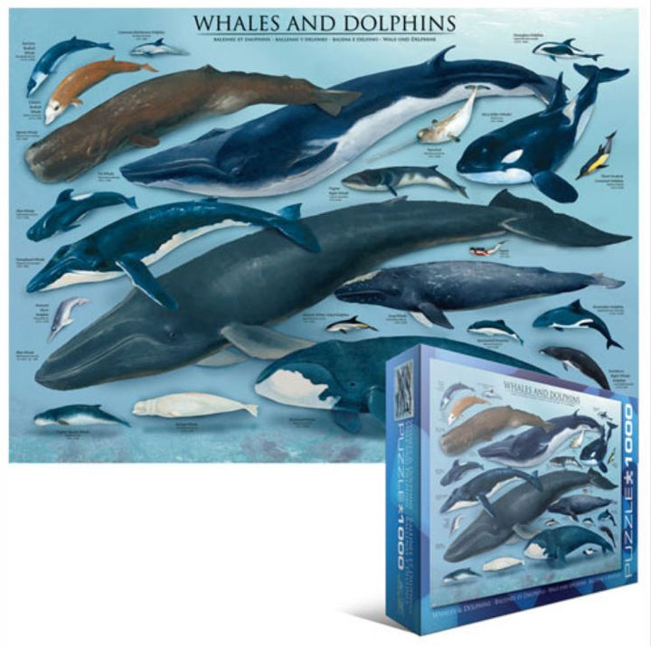 Whales and Dolphins 1,000-Piece Puzzle