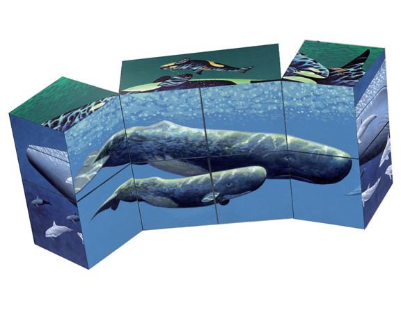 Whale Art Cube