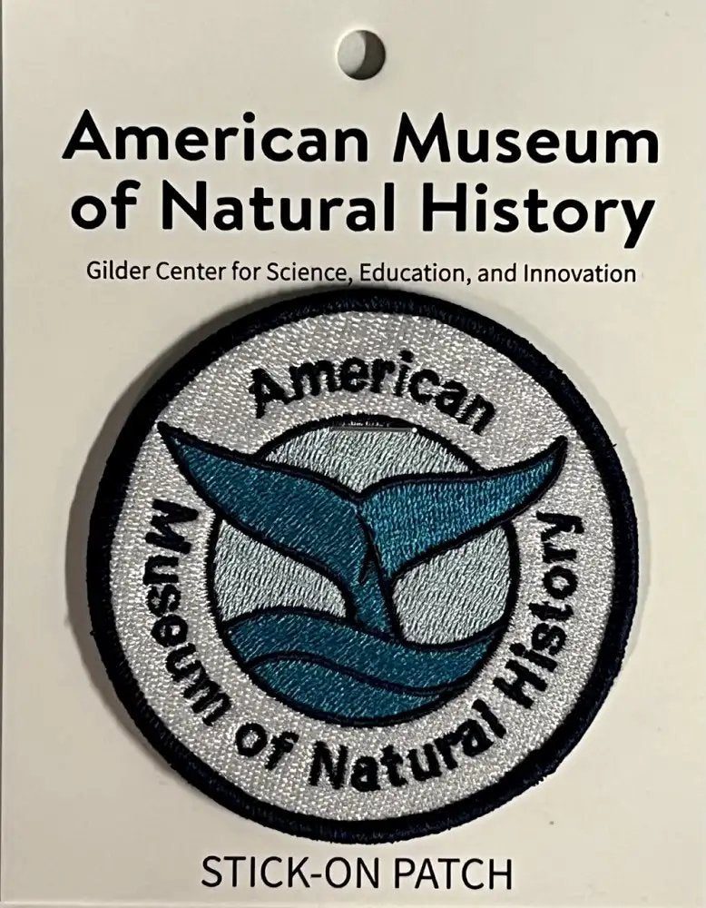 AMNH Gilder Center Blue Whale Tail Patch