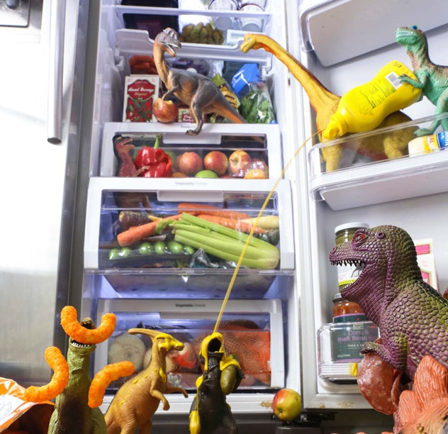 What The Dinosaurs Did Last Night