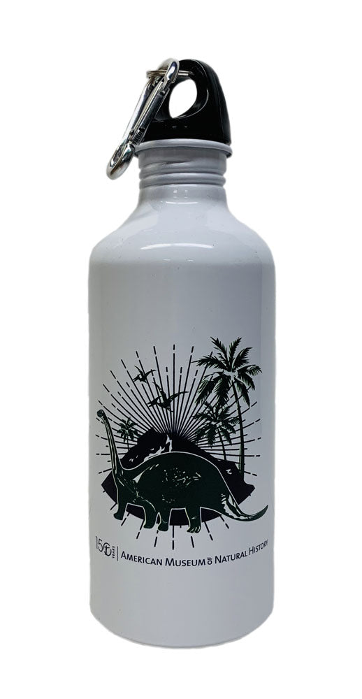 Dinosaur Caribiner Top Water Bottle