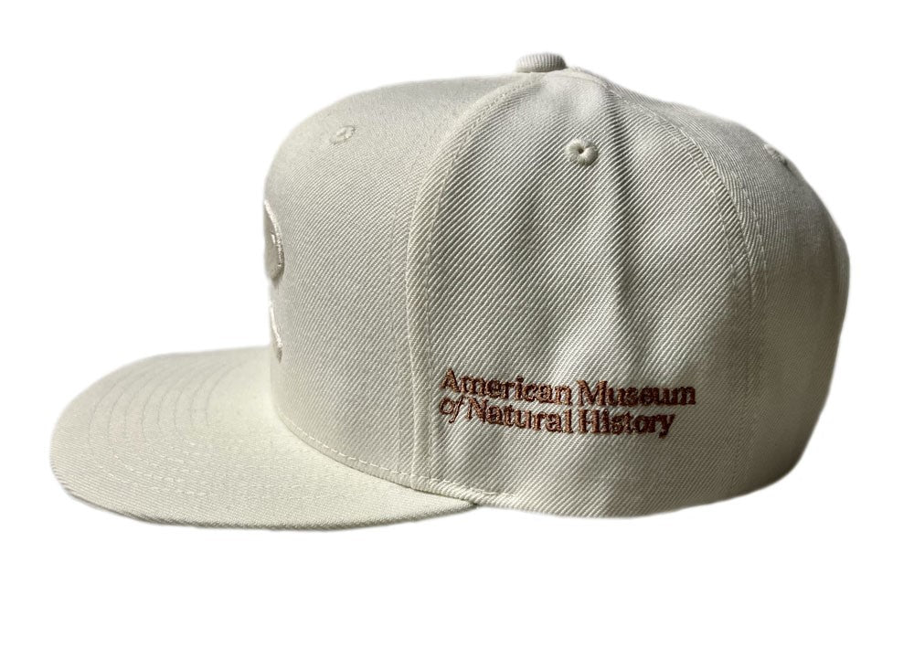 Adult AMNH Cream Flat Brim  Dino Skull Cap Side