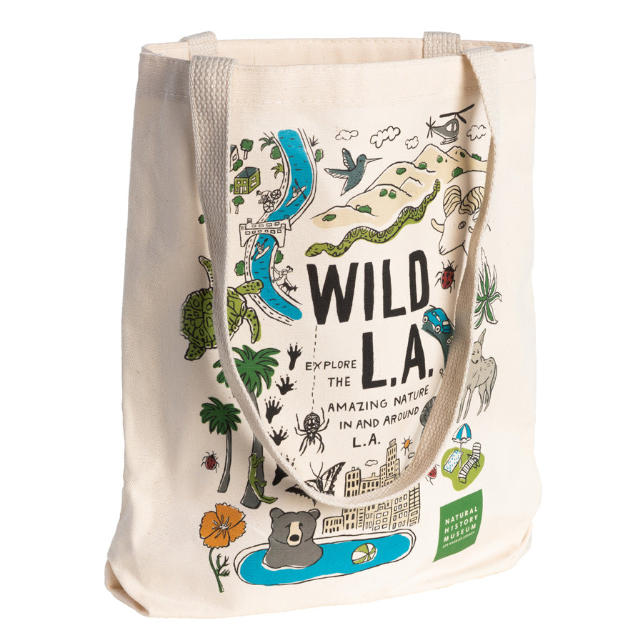 Extraordinary Rare Birds Tray