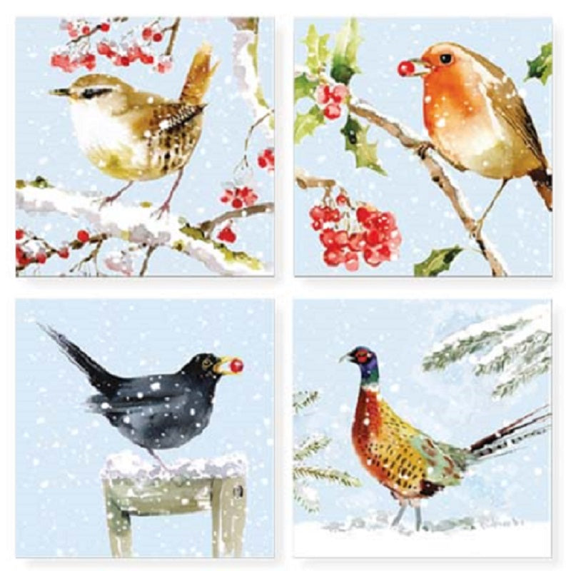 Winter Birds Christmas Cards Boxed Set Styles