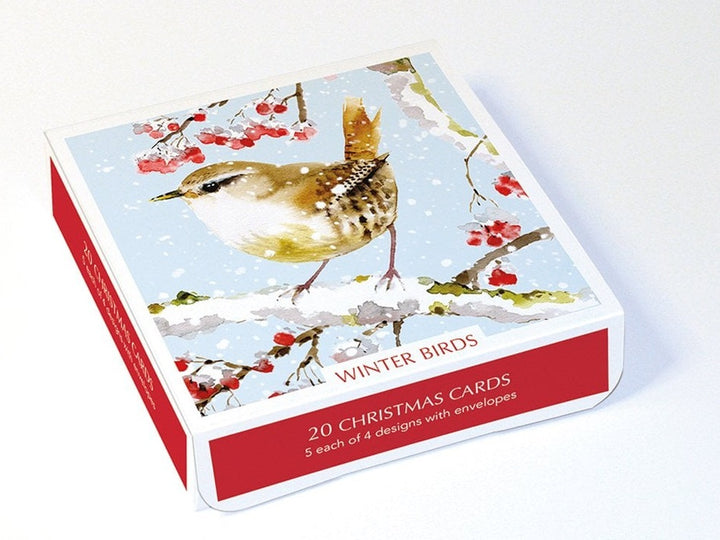Winter Birds Christmas Cards Boxed Set