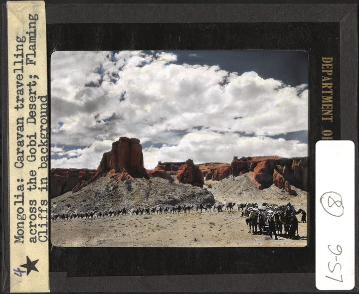 The World of Dinosaurs: An Illustrated Tour