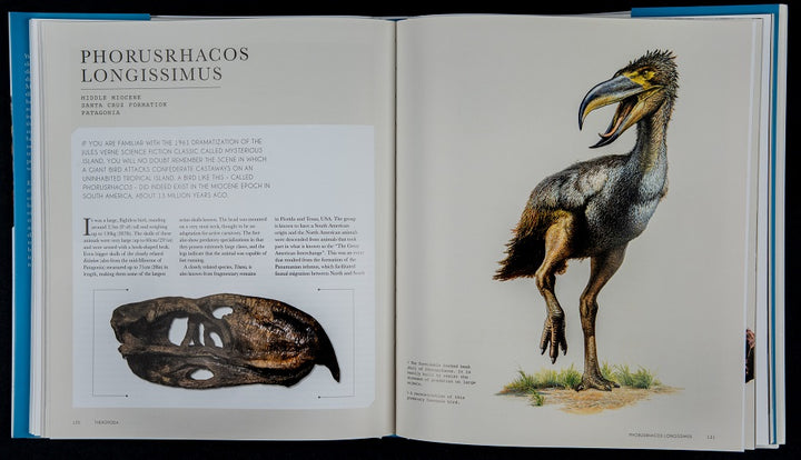 The World of Dinosaurs: An Illustrated Tour