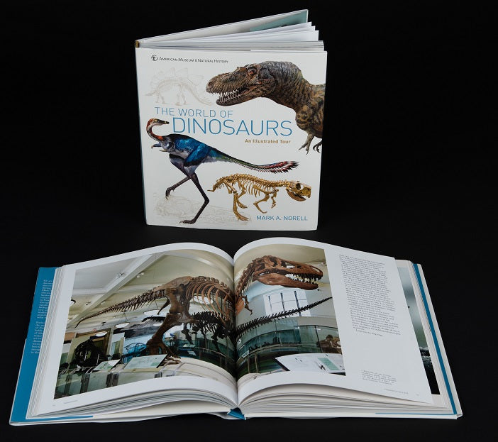 The World of Dinosaurs: An Illustrated Tour