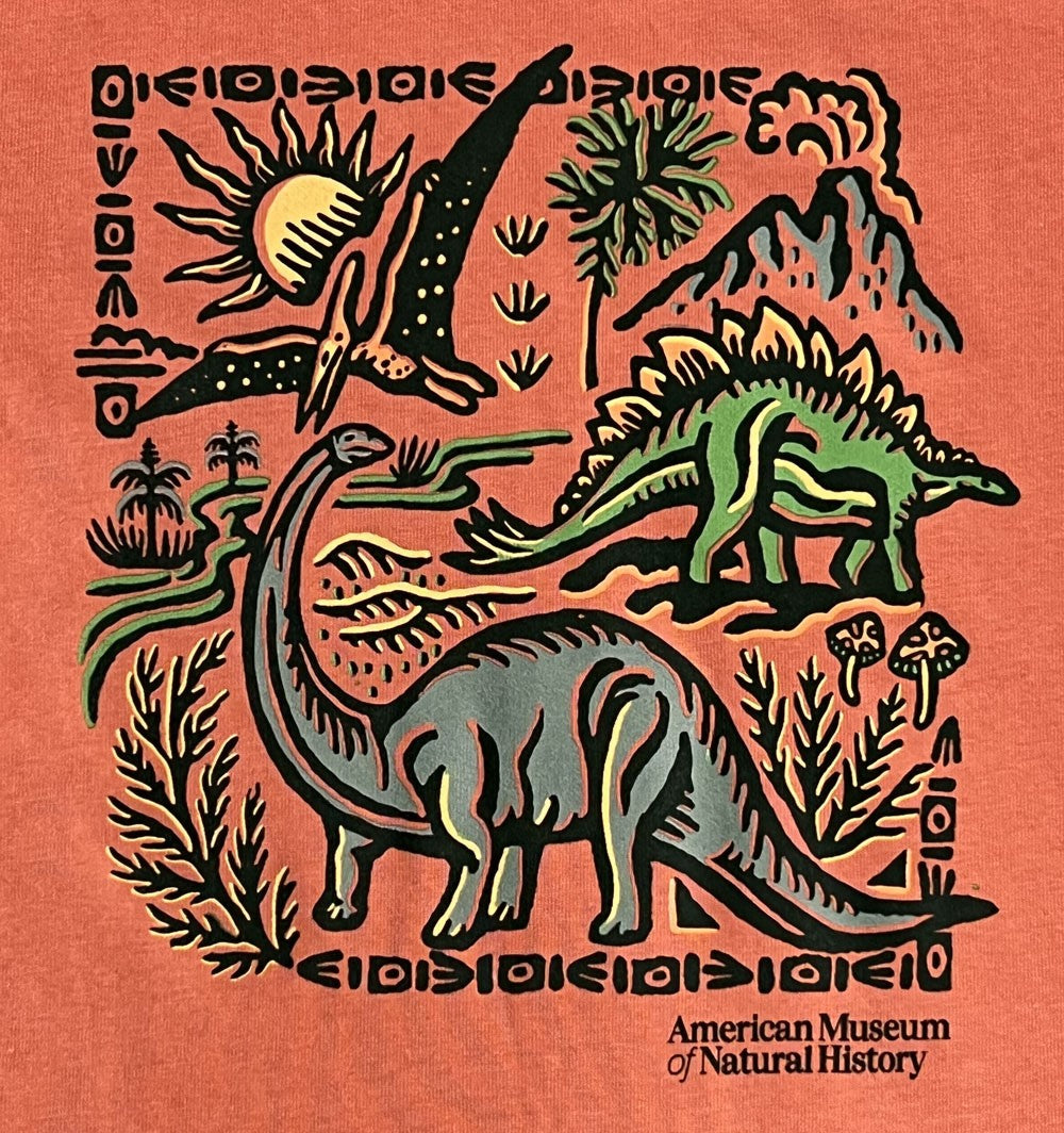 Youth Organic Ginger Spice Dino Scene T-Shirt closeup