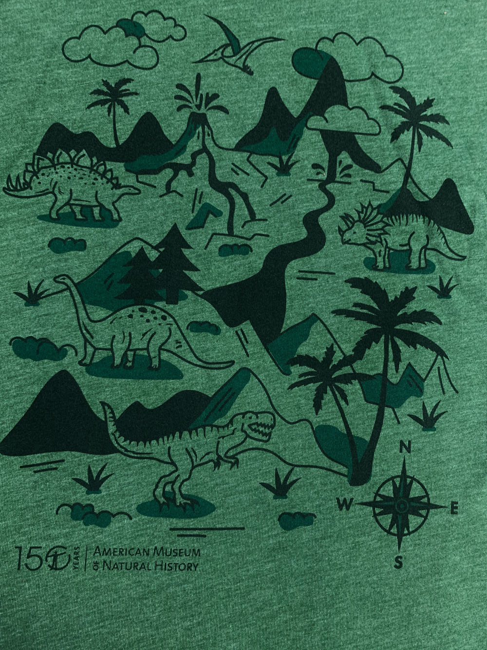 Youth Green Prehistoric Dinosaur Scene T-Shirt