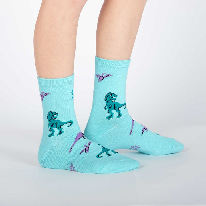 Youth Land of Dinosaurs Crew Socks
